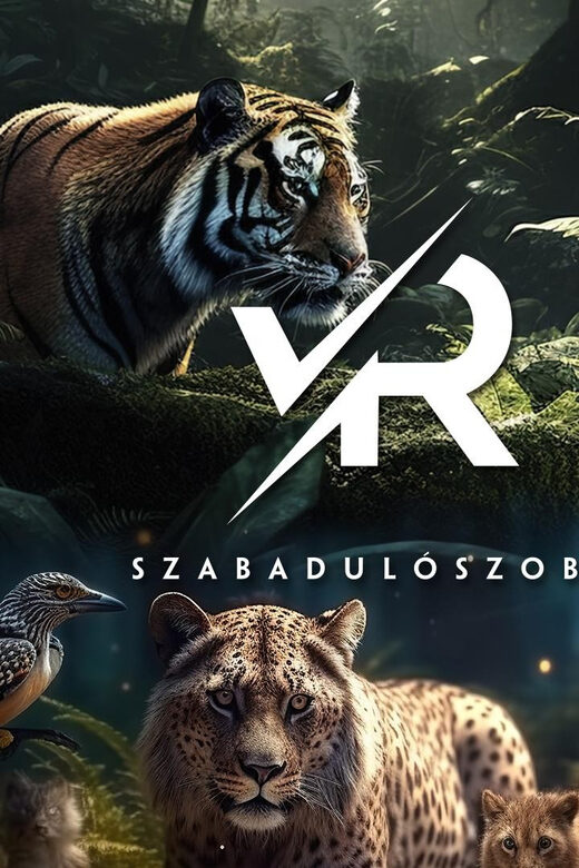 PÁNiQ-SZOBA | VR Escape Rooms by PANiQ ROOM in Budapest - The Practicalities: Booking, Location, and Group Size