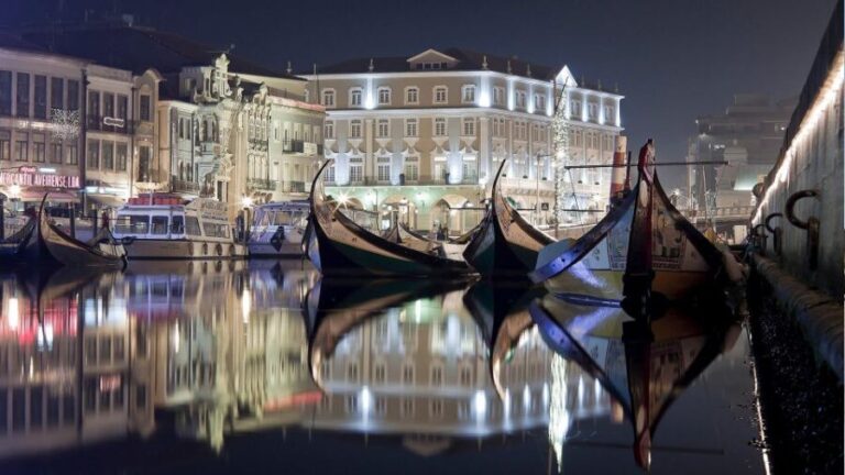 Panoramic Boat City Tour in Aveiro - A Detailed Look at the Aveiro Boat Tour Experience