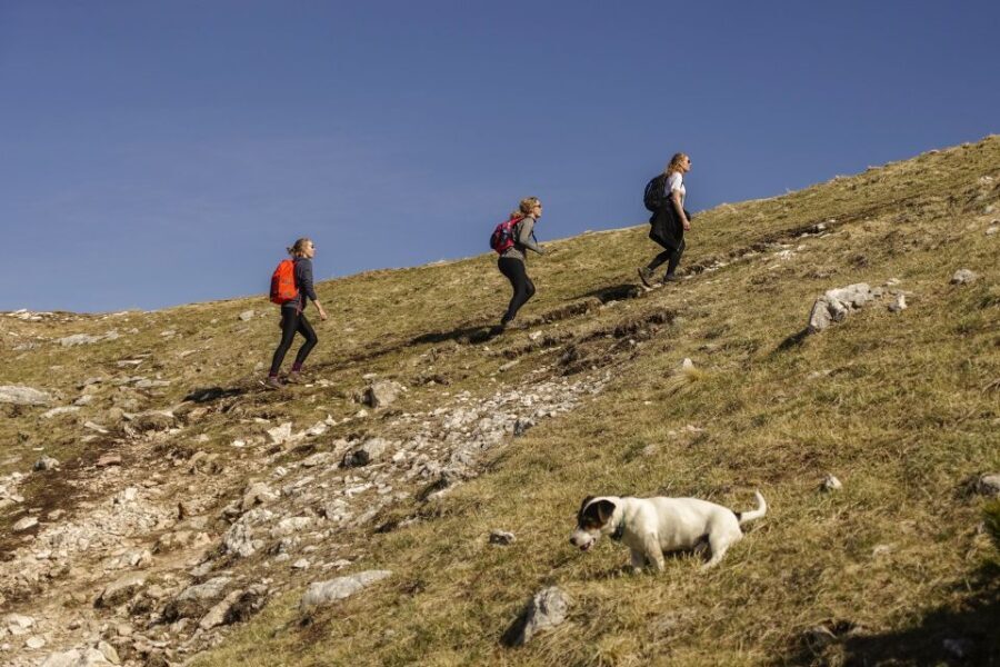 Panoramic Hike in Julian Alps - The Itinerary Breakdown