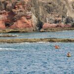 Papagayo: Kayak Experience in Los Ajaches Natural Monument - What’s Included and Practical Details