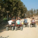 Paphos: Akamas and Adonis Falls Quad Tour - The Value of the Experience