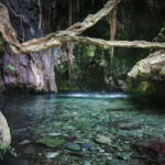 Paphos: Akamas, Baths of Aphrodite and Blue Lagoon Day Tour - What Makes This Tour Stand Out