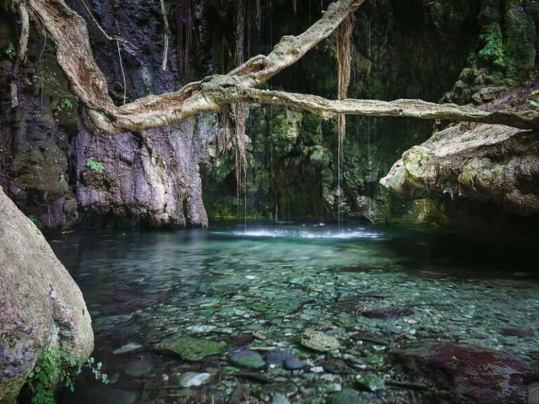 Paphos: Akamas, Baths of Aphrodite and Blue Lagoon Day Tour - What Makes This Tour Stand Out