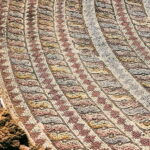 Paphos & Kourion from Ayia Napa/Larnaca/Limassol in German - Who Will Love This Tour?