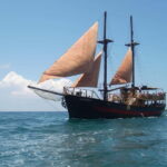 Paphos: Pirate Ship Cruise on Jolly Roger - Why This Tour Stands Out
