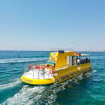 Paphos: Sunset Cruise, Turtle Watching, & Unlimited Drinks - Detailed Breakdown of the Itinerary