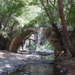 Paphos: Troodos-Kykkos Land Rover Treasure Jeep Safari - Authentic Experiences and Practical Tips