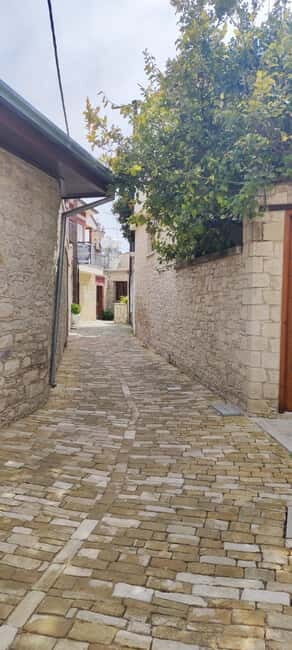 Paphos: Troodos Mountains Villages Tour with Wine Tasting - Practical Details