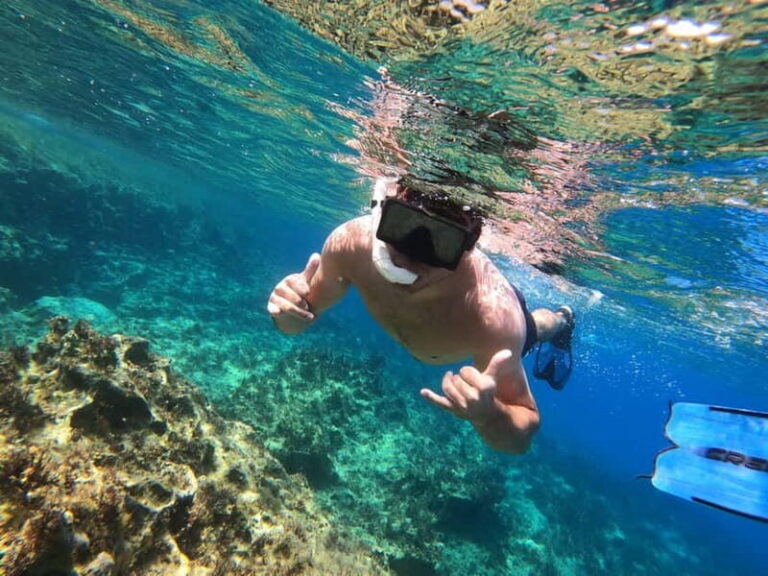 Paphos: Turtle-Watching Snorkeling Sea Scooter Trip - The Itinerary Breakdown