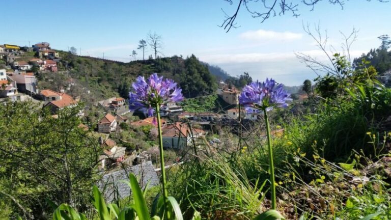 Paradise Valley half-day morning walk. - The Authentic Charm of Madeira’s Landscape