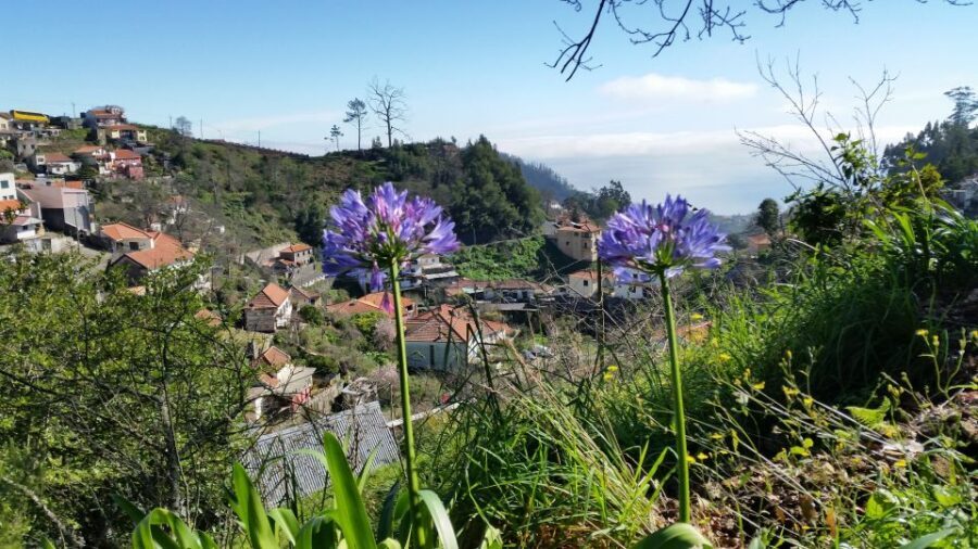 Paradise Valley half-day morning walk. - The Authentic Charm of Madeira’s Landscape