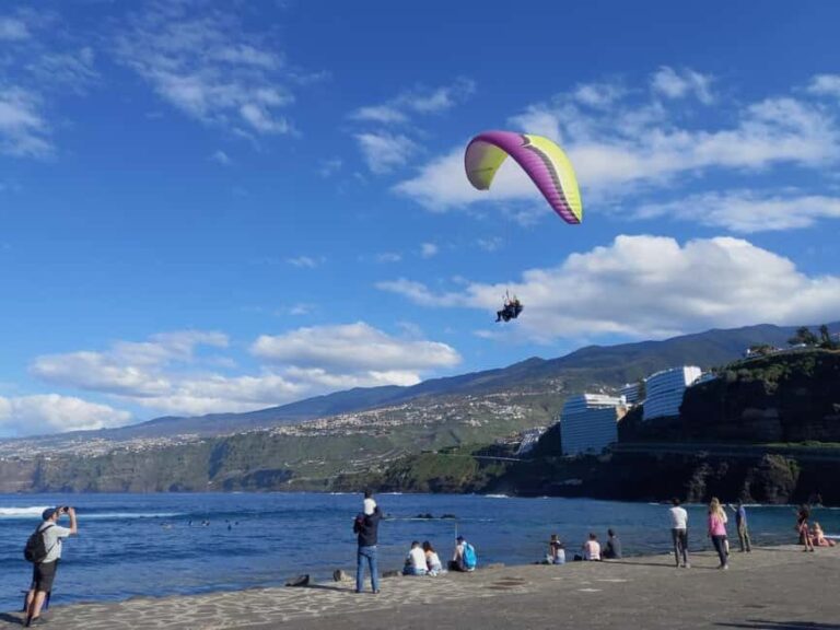 Paragliding from Puerto de la Cruz or Teide (day/sunset) - Authentic Experiences and Top Tips from Reviewers