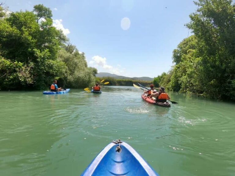 Parga: Acheron River Kayaking Adventure 5.5 km - Who Should Consider This Tour?