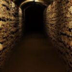 Paris: Catacombs, Audio Guide, and River Cruise Option - The Authenticity of Reviews and What They Reveal