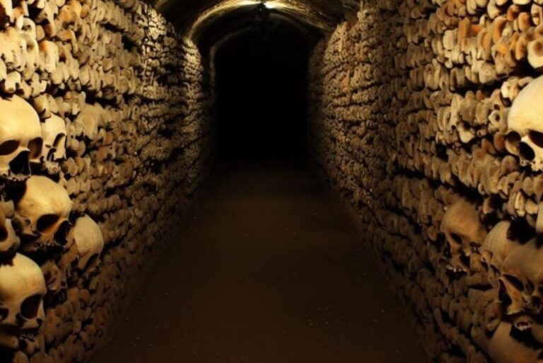 Paris: Catacombs, Audio Guide, and River Cruise Option - The Authenticity of Reviews and What They Reveal
