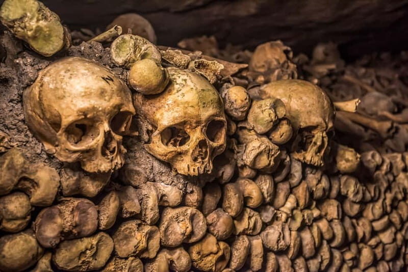Paris: Catacombs Guided Tour - Price, Value, and Practicalities