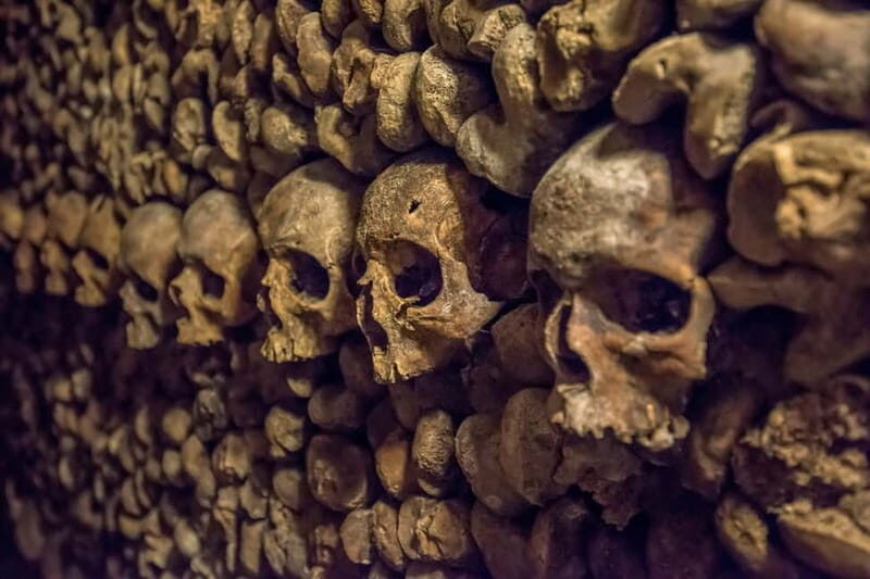 Paris: Catacombs Special Access Tour - What to Expect on the Tour