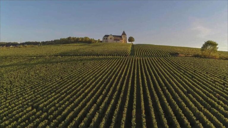 Paris: Champagne Region Day Trip with Expert Guide - Evaluating the Value: Is It Worth the Cost?
