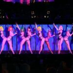 Paris: Dinner at Ginger Restaurant & Show at Crazy Horse - The Dinner at Ginger: A Closer Look