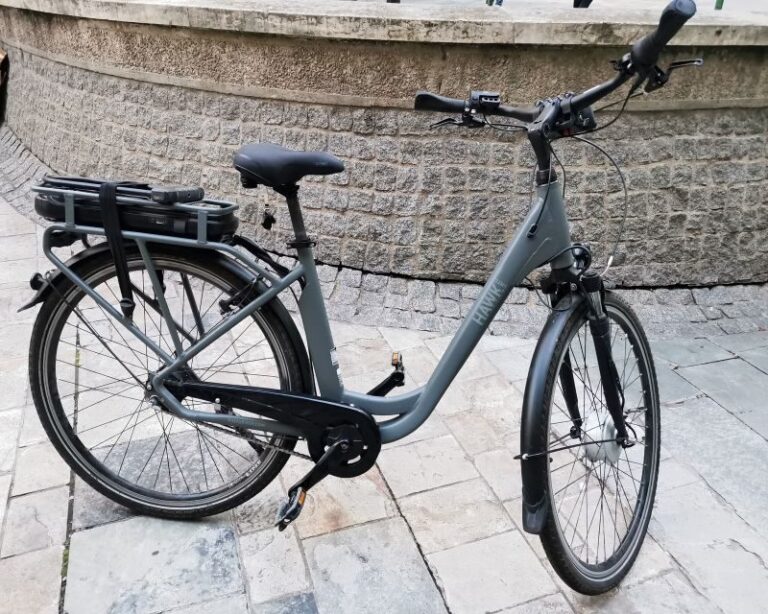 Paris : E-bike rental in Le Marais (City Center) - Who Will Love This Experience?