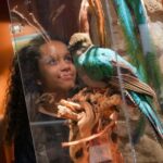 Paris: Entrance Ticket to the Chocolate Museum - A Deep Dive Into the Experience