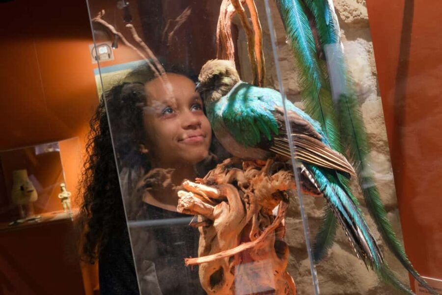 Paris: Entrance Ticket to the Chocolate Museum - A Deep Dive Into the Experience