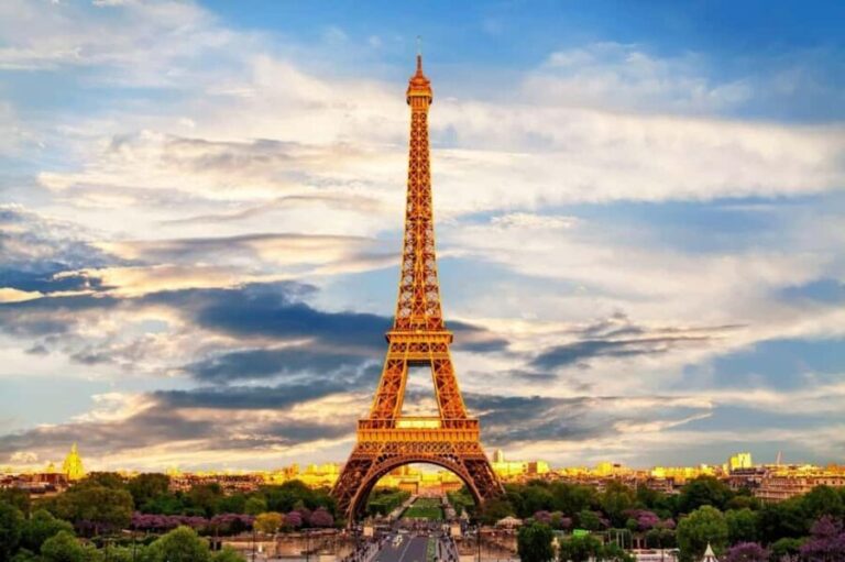 Paris Half-Day City Tour with a Private Driver - The Transport and Comfort