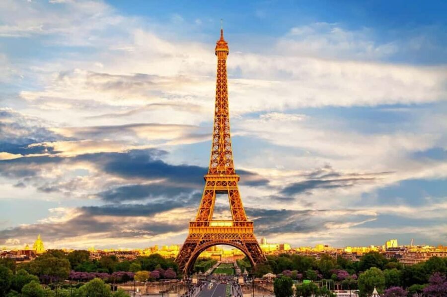 Paris Half-Day City Tour with a Private Driver - The Transport and Comfort