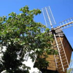 Paris: Montmartre Private Guided Walking Tour - Practical Details & Why They Matter