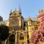 Paris: Notre Dame Exterior Private Guided Tour - Why This Tour Works Well