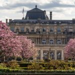 Paris: Pre-Haussmannian Paris Walking Tour (Old Paris) - What You Can Expect from the Tour