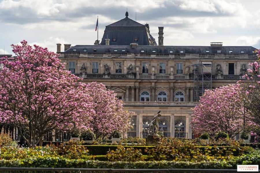 Paris: Pre-Haussmannian Paris Walking Tour (Old Paris) - What You Can Expect from the Tour