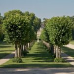 Paris: Private Tour of Domaine de Chantilly Ticket&Transfer - Analyzing the Cost and Overall Value