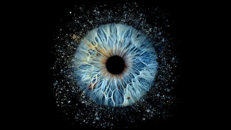 Paris Rivoli: Reveal the beauty of your iris with Iris Galerie - The Breakdown of Your Iris Experience