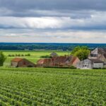 Paris VIP: Burgundy Wine Region Chauffeur Driven Tour 14 hrs - Culinary Delights & Cultural Stops