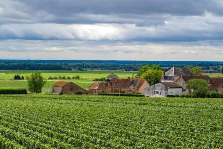Paris VIP: Burgundy Wine Region Chauffeur Driven Tour 14 hrs - Culinary Delights & Cultural Stops