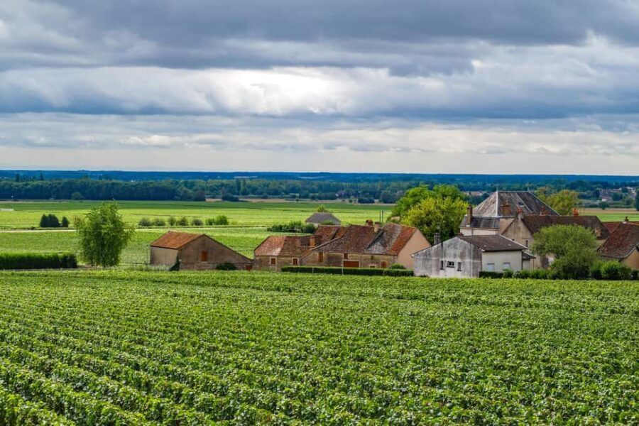 Paris VIP: Burgundy Wine Region Chauffeur Driven Tour 14 hrs - Culinary Delights & Cultural Stops