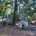 Parnitha (Parnis) / Skipiza & Mola loop - Hike near Athens - Wildlife and Nature