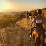 Paros: Horseback Riding Tour at Sunset - The Riding Experience: Who Is It For?