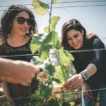 Partinico: Farm Augustali Winery Tour with Picnic & Tastings - Practical Details and What Makes It Stand Out