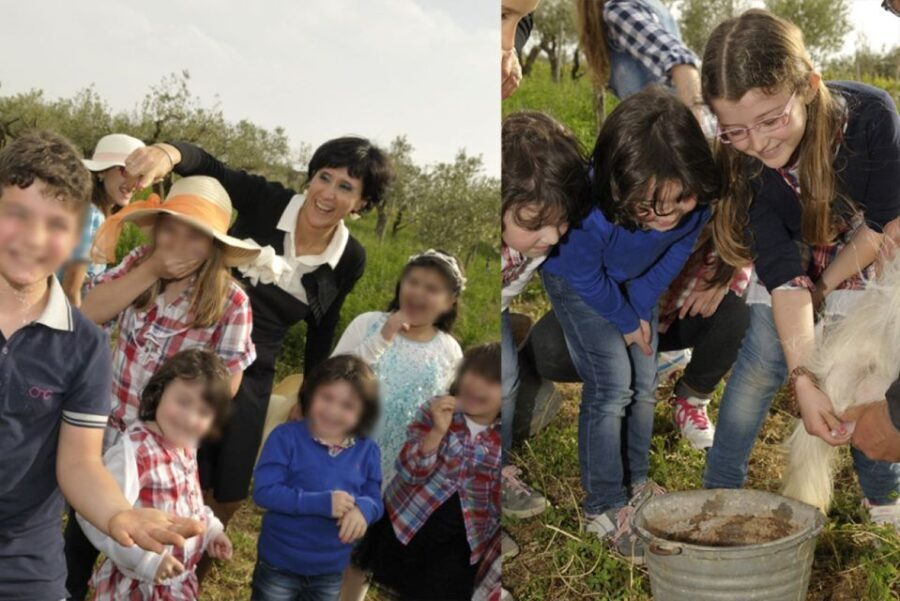 Partinico: Farm's Animals and Aromatic Garden Experience - Who Will Love This Experience?
