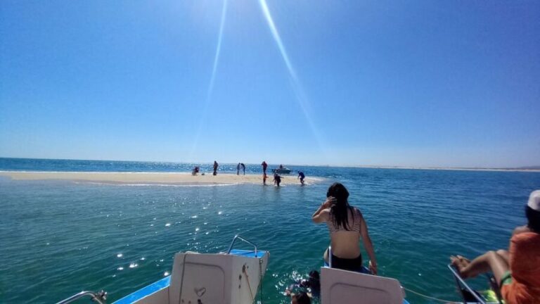 Passeio de barco na Ria Formosa 3H - A Deep Dive into the Ria Formosa Boat Experience