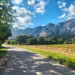 Peaceful Countryside Day : vineyards, food & villages - Exploring the Itinerary: What This Tour Offers