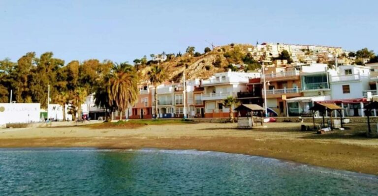 Pedregalejo Food Tour: Explore Malaga's most iconic quarter - A Deep Dive into the Pedregalejo Food Tour Experience