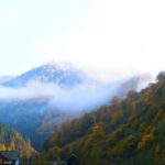 Peles Castle &Carpathian:Royal Journey Through the Mountains - Practical Details & What to Expect