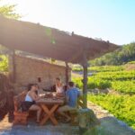 Peljeac Full-Day Wine and Food Tour from Dubrovnik - The Practical Side: What to Expect