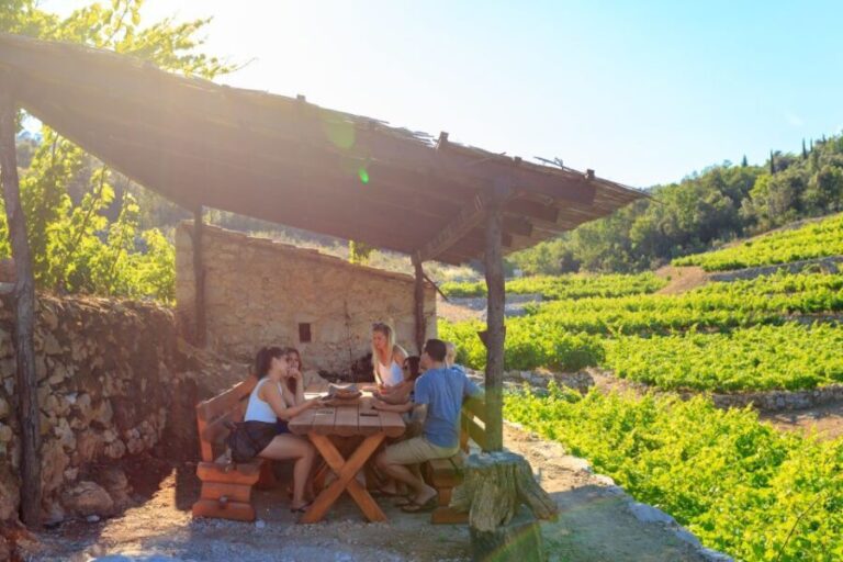 Peljeac Full-Day Wine and Food Tour from Dubrovnik - The Practical Side: What to Expect