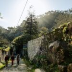 Pena Palace, Moorish Castle,Quinta ad Regaleira:Walking tour - Pricing and Practicalities