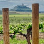 Peñafiel . Visita privada Castillo y casco Histórico - Practical Details