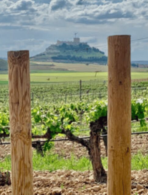 Peñafiel . Visita privada Castillo y casco Histórico - Practical Details